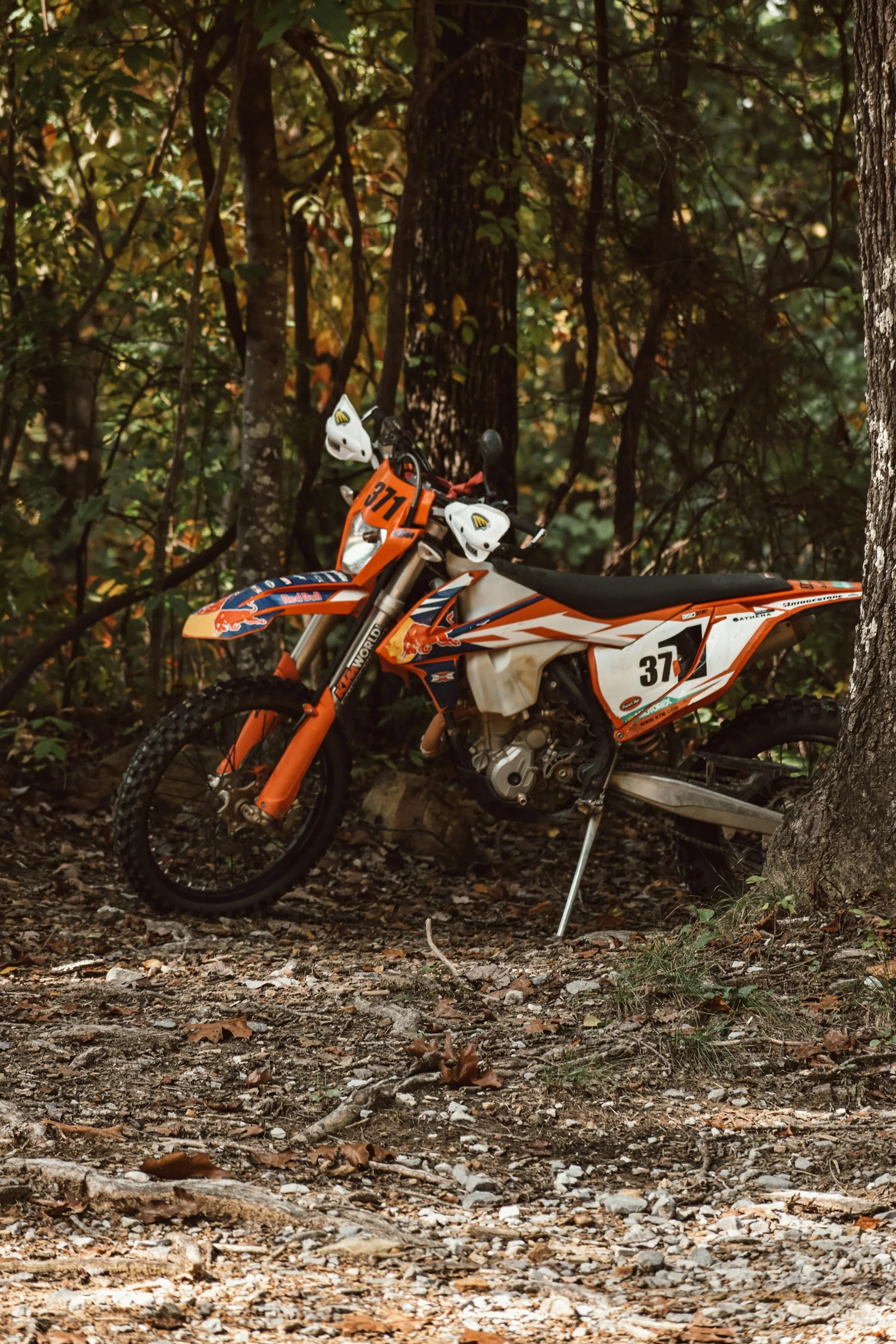 Enduro motorcycle rider in forest terrain
